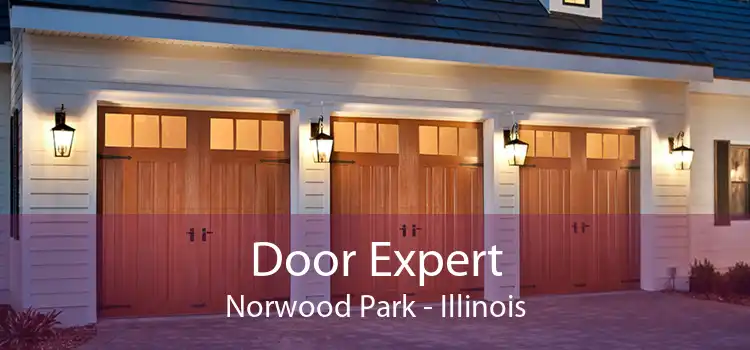 Door Expert Norwood Park - Illinois