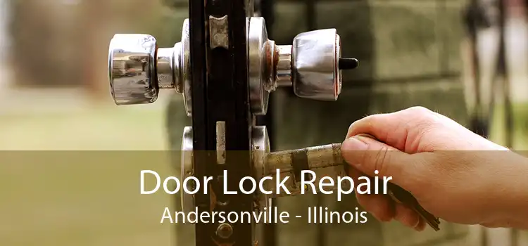 Door Lock Repair Andersonville - Illinois