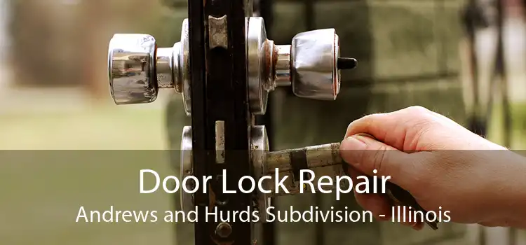 Door Lock Repair Andrews and Hurds Subdivision - Illinois