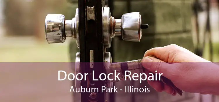 Door Lock Repair Auburn Park - Illinois