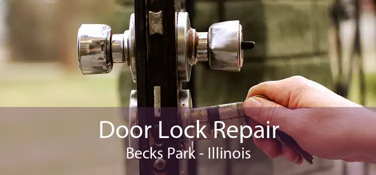 Door Lock Repair Becks Park - Illinois