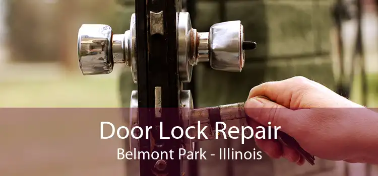 Door Lock Repair Belmont Park - Illinois