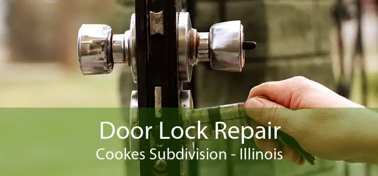 Door Lock Repair Cookes Subdivision - Illinois