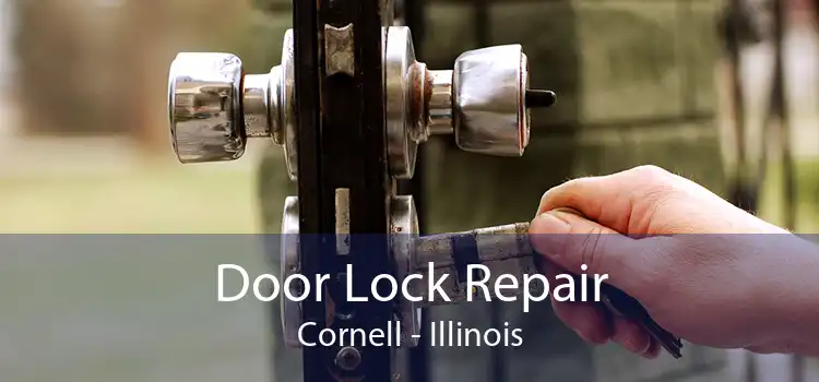 Door Lock Repair Cornell - Illinois