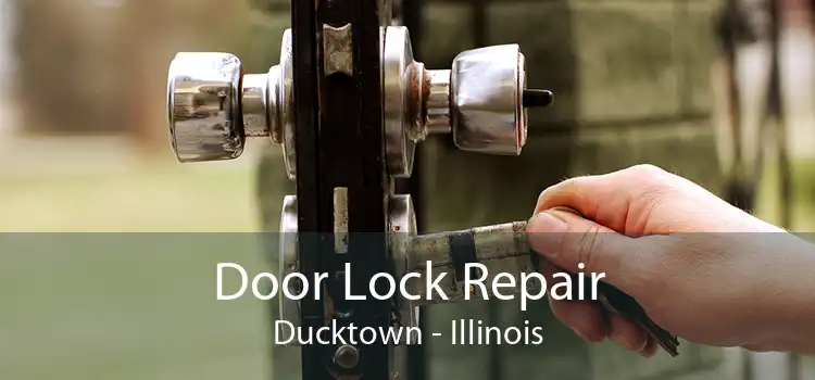 Door Lock Repair Ducktown - Illinois