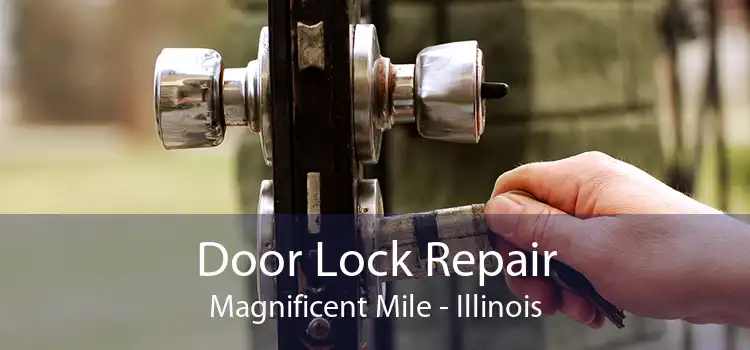 Door Lock Repair Magnificent Mile - Illinois