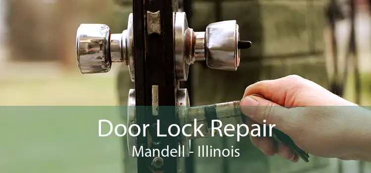 Door Lock Repair Mandell - Illinois