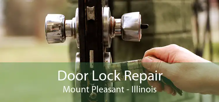 Door Lock Repair Mount Pleasant - Illinois