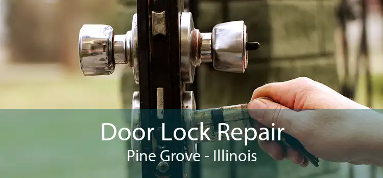 Door Lock Repair Pine Grove - Illinois