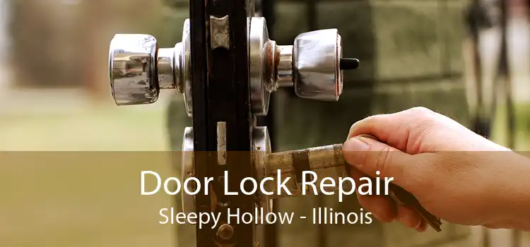 Door Lock Repair Sleepy Hollow - Illinois