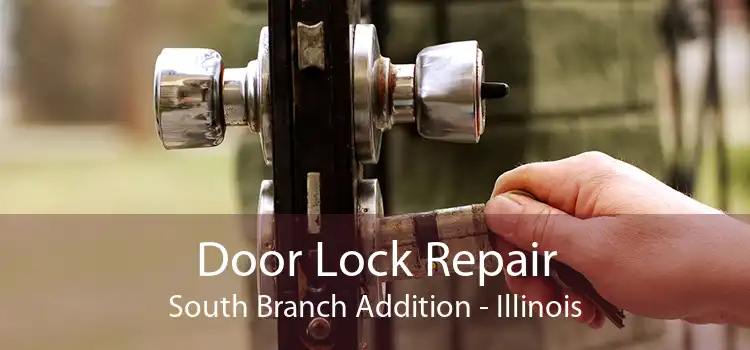 Door Lock Repair South Branch Addition - Illinois