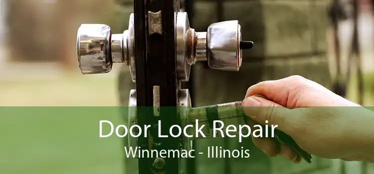 Door Lock Repair Winnemac - Illinois