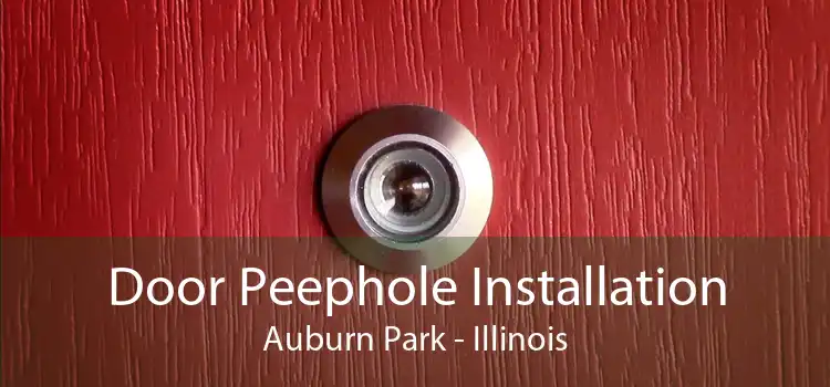 Door Peephole Installation Auburn Park - Illinois