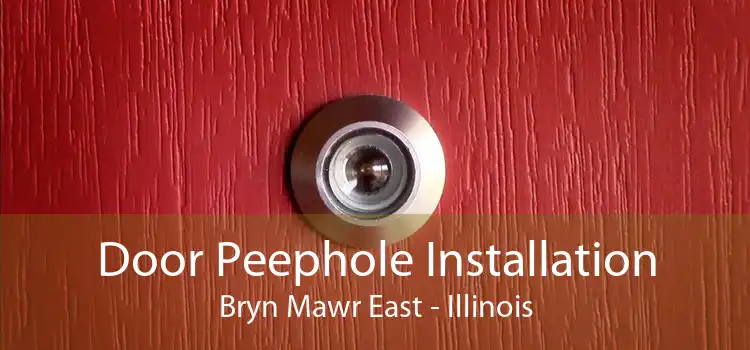 Door Peephole Installation Bryn Mawr East - Illinois