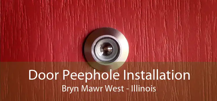 Door Peephole Installation Bryn Mawr West - Illinois