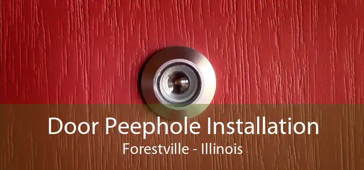 Door Peephole Installation Forestville - Illinois