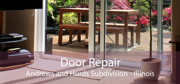 Door Repair Andrews and Hurds Subdivision - Illinois