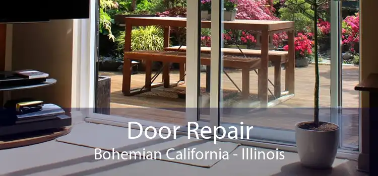 Door Repair Bohemian California - Illinois