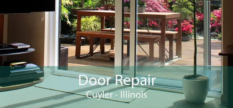 Door Repair Cuyler - Illinois