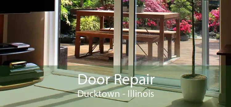 Door Repair Ducktown - Illinois