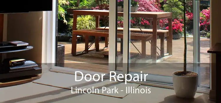 Door Repair Lincoln Park - Illinois