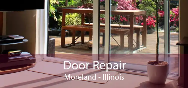 Door Repair Moreland - Illinois