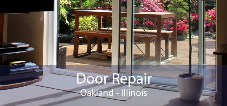 Door Repair Oakland - Illinois