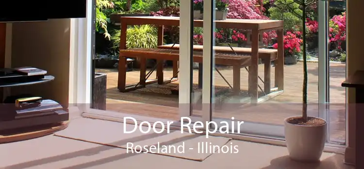 Door Repair Roseland - Illinois