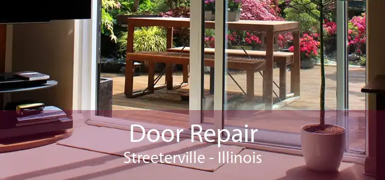 Door Repair Streeterville - Illinois