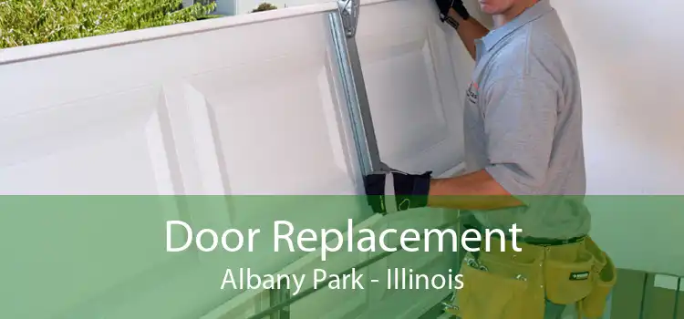 Door Replacement Albany Park - Illinois