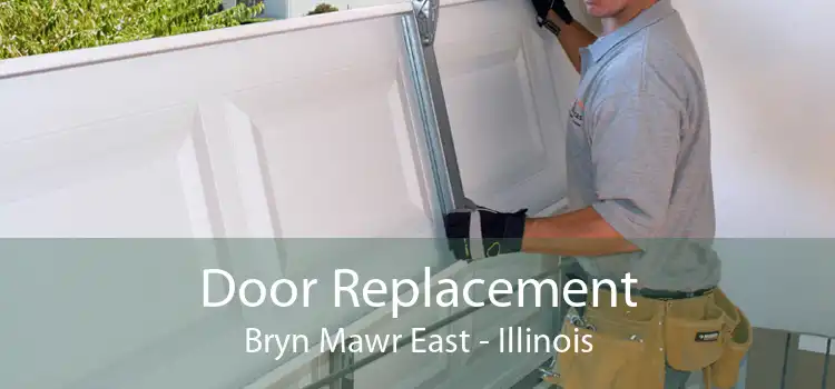 Door Replacement Bryn Mawr East - Illinois