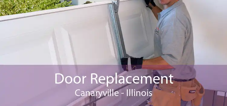 Door Replacement Canaryville - Illinois