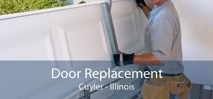 Door Replacement Cuyler - Illinois