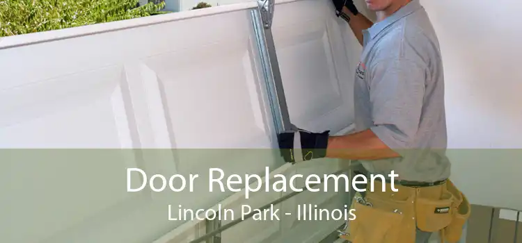 Door Replacement Lincoln Park - Illinois