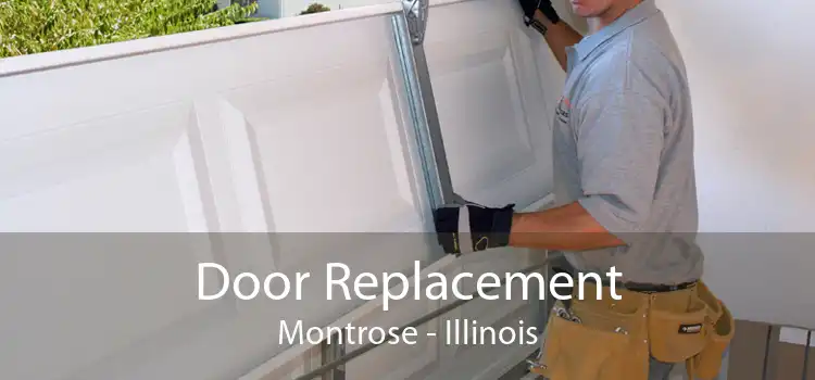 Door Replacement Montrose - Illinois