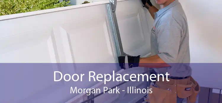 Door Replacement Morgan Park - Illinois