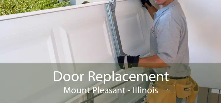 Door Replacement Mount Pleasant - Illinois