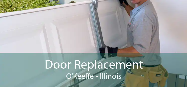 Door Replacement O'Keeffe - Illinois