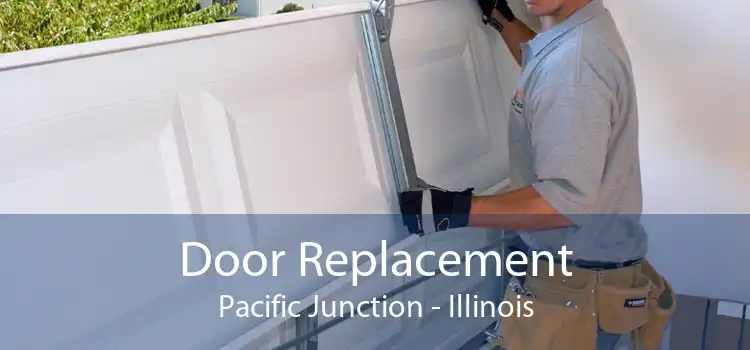 Door Replacement Pacific Junction - Illinois