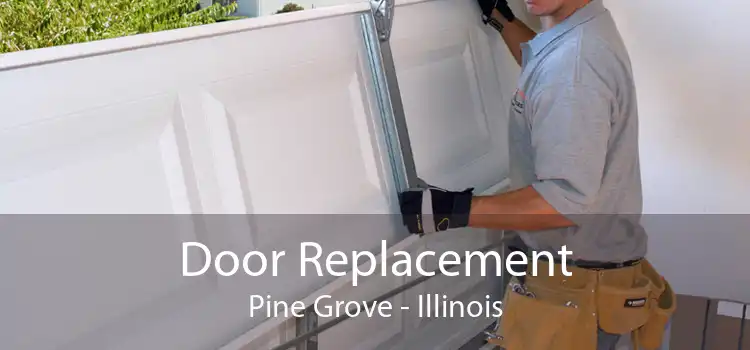 Door Replacement Pine Grove - Illinois