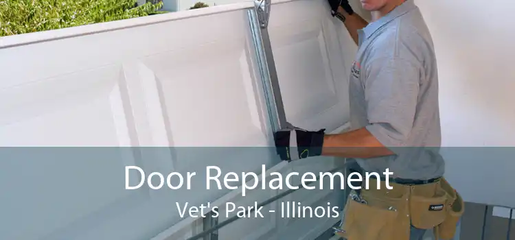 Door Replacement Vet's Park - Illinois