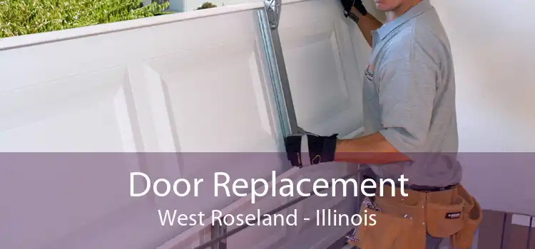 Door Replacement West Roseland - Illinois