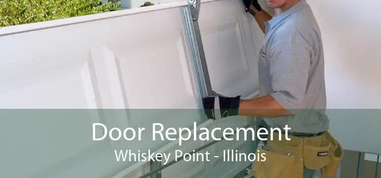 Door Replacement Whiskey Point - Illinois