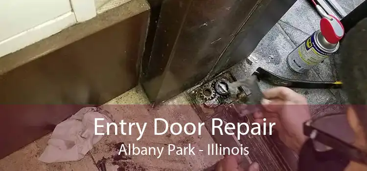 Entry Door Repair Albany Park - Illinois