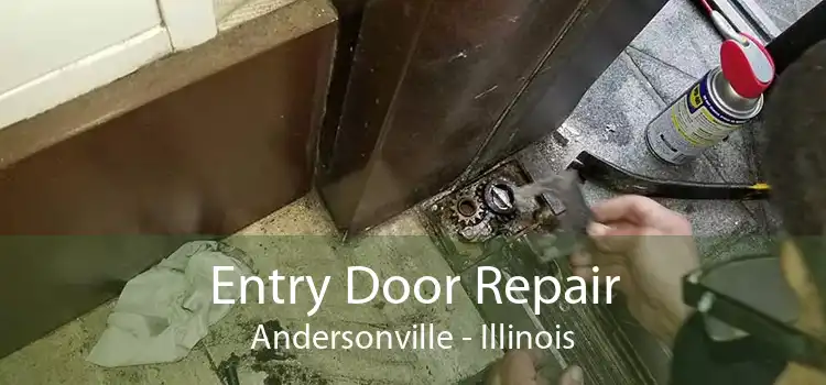 Entry Door Repair Andersonville - Illinois