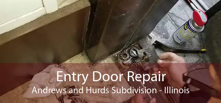 Entry Door Repair Andrews and Hurds Subdivision - Illinois