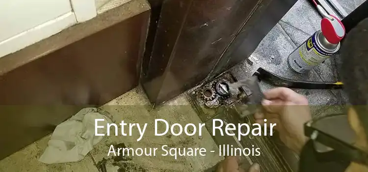 Entry Door Repair Armour Square - Illinois