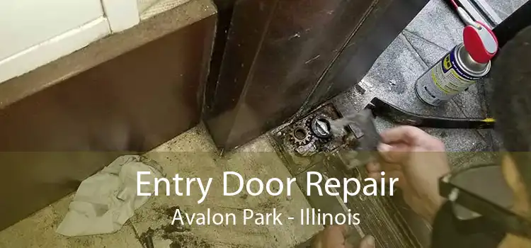 Entry Door Repair Avalon Park - Illinois