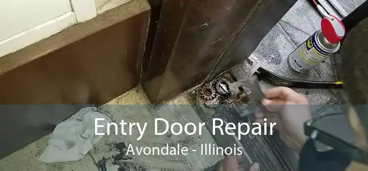 Entry Door Repair Avondale - Illinois