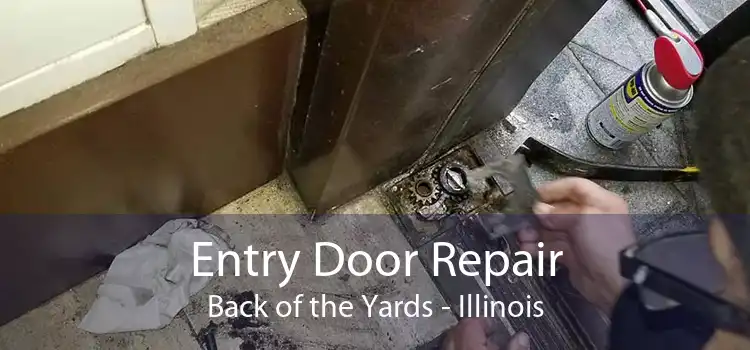 Entry Door Repair Back of the Yards - Illinois